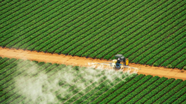 Best Pest Removal Services  in Fair Plain, MI