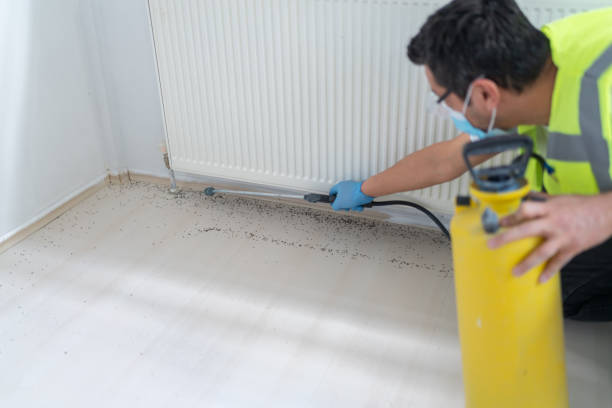 Best Pest Control for Homes  in Fair Plain, MI